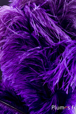 Autruche - 32-42 cm - gris clair-aubergine